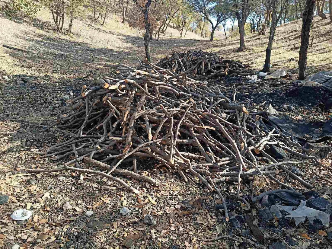 لەناو بەیتی پلاستیکی خەڵوزی دروست دەکرد؛ پێیان زانی