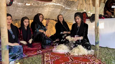 الأنيقة بشرى تسرق الأضواء في مهرجان للرز.. هكذا “تنفش” أربيل الصوف