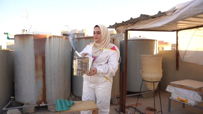 Mosul journalist turns rooftop beekeeping hobby into sweet success
