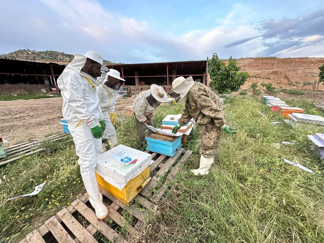 له‌ ئامێدی 20 ئه‌ندازیارى كشتوكاڵى كه‌لوپه‌لى هه‌نگه‌وانیان پێدرا
