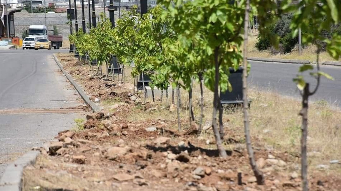 فەرمانگەی ژینگەی هەڵەبجە: هەر ئاژەڵێکتان لەناو سەوزایی بینی دووری بخەنەوە