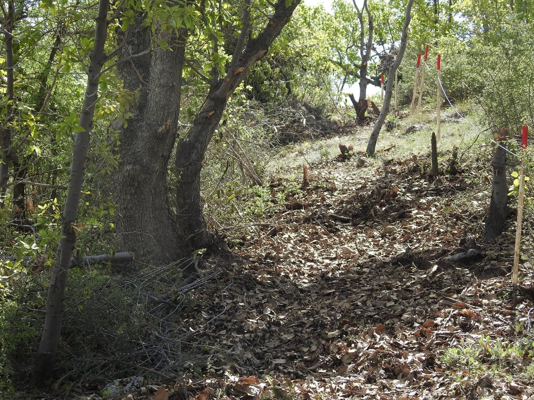له‌ زاويته‌ ده‌ست به‌ پاككردنه‌وه‌ى زیاتر له‌ 27 دۆنم زه‌وى‌ مینڕێژكراو ده‌كرێت