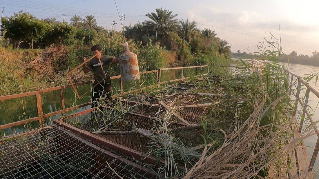 الناصرية: 92% من أقفاص السمك خارج الخدمة بسبب الجفاف (صور)