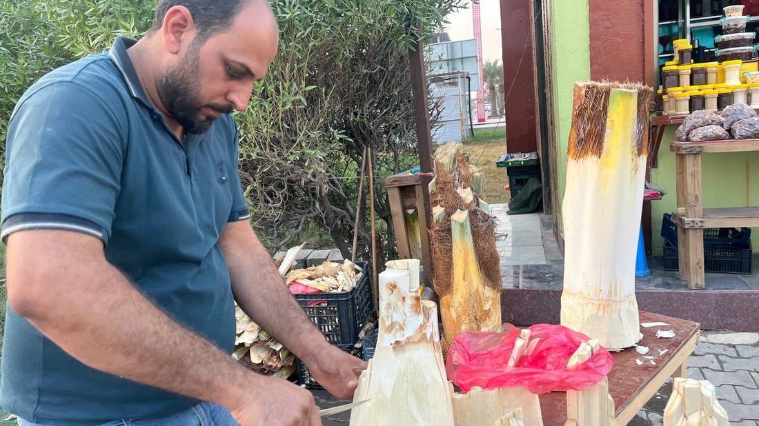 صور: جمار البصرة صار مرّاً.. والبديل من الطارمية والصويرة والعملية غير ضارة