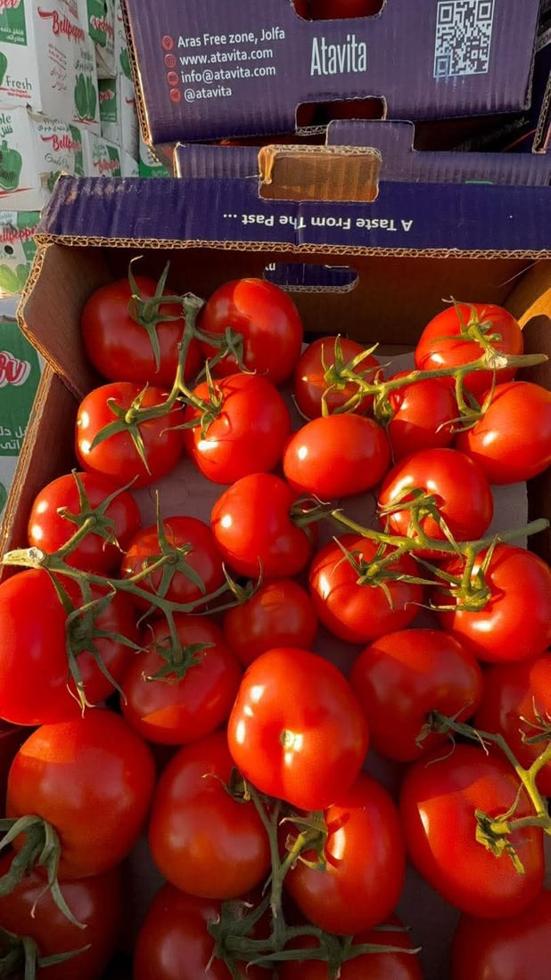 گەورەترین عەلوەی سەوزە و میوە لە هەولێر دەکرێتەوە