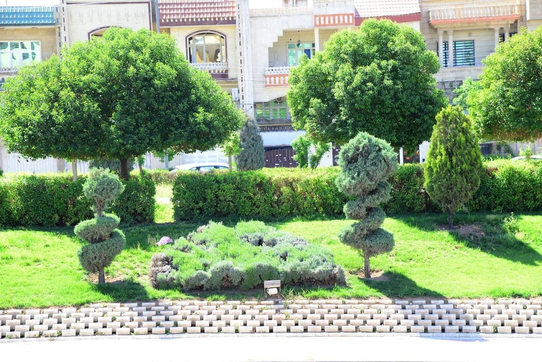 رۆژانە 240 ئامێر و مەكینەی جۆراوجۆر لە هەڵمەتی بڕینەوە و خزمەتكردنی پاركەكاندا كاریان كردووە.