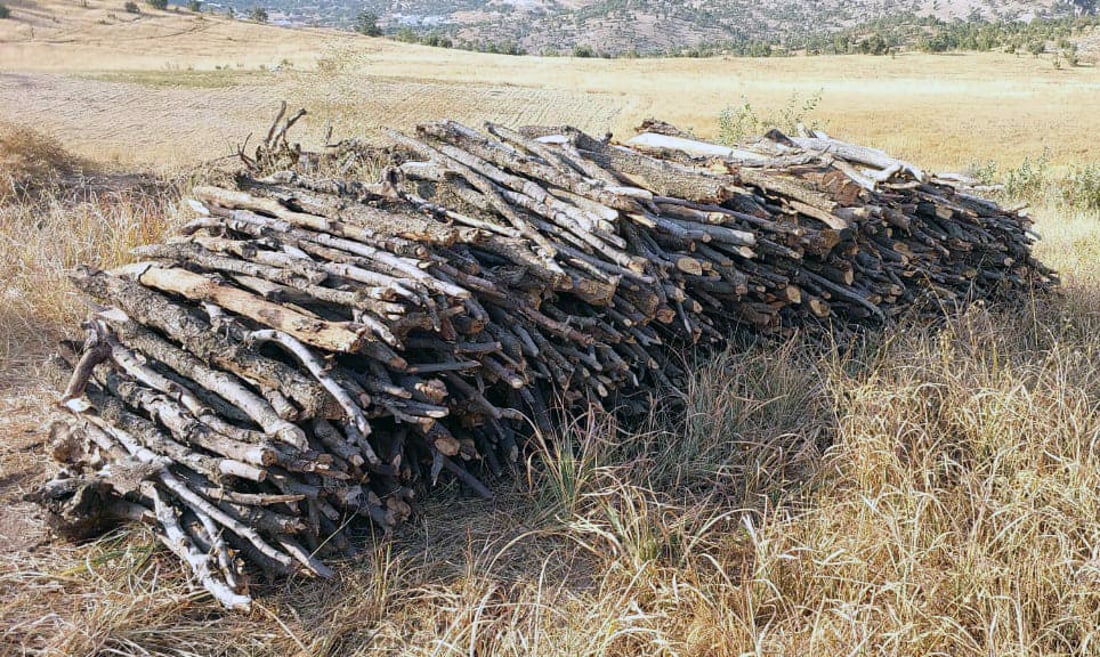 لەسەر داربڕین 15 رۆژ بەند دەکرێت