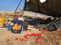 تیمەکانی لابردنی زیادەڕەویی لە شارەوانی سلێمانی چەند �...