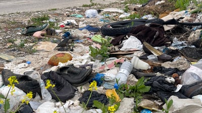 پاشماوە بۆنی ناخۆشی لە کۆڵانەکەدا بڵاوکردووەتەوە