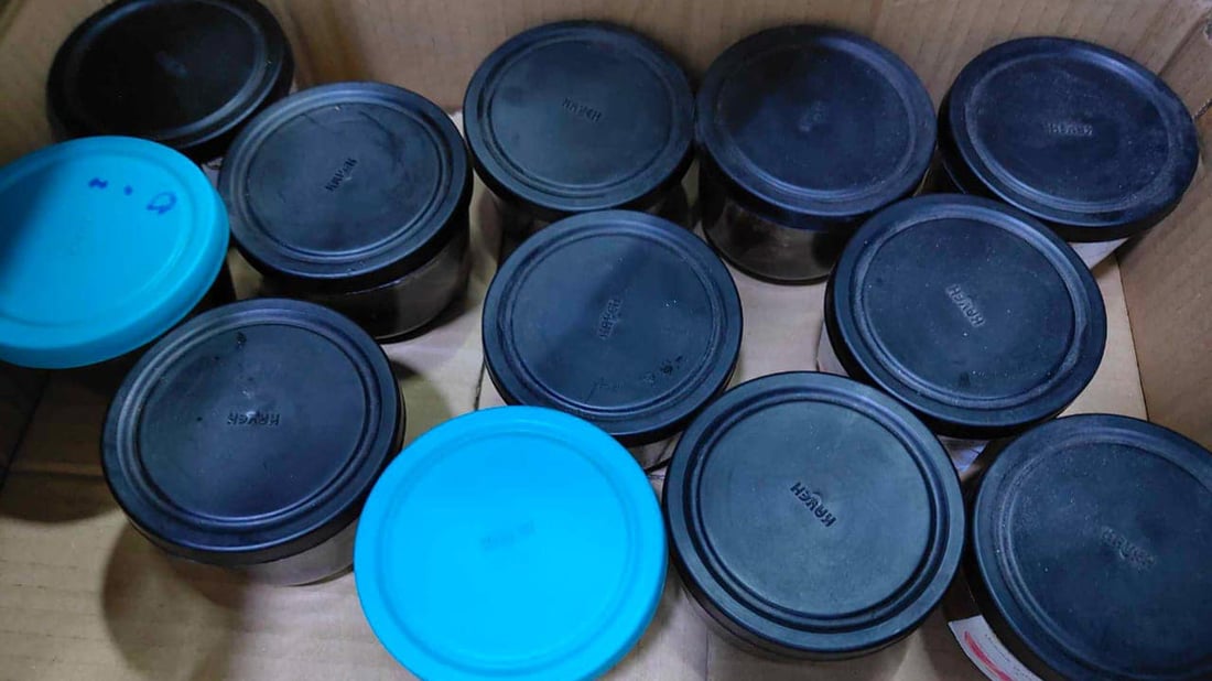 هەنگوینی نەشیاو بۆ خواردن دەستی بەسەردا گیرا