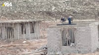 دهوك: مأوى للحيوانات ينتظر 13 ألف كلب سائب.. المرحلة الثا...