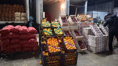 Rain causes price hikes for Iranian produce