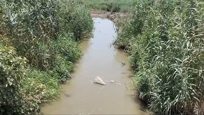 ئاوەڕۆی کەلار لە کێڵگەکانی بەخێوکردنی ماسی دوورخرایەوە