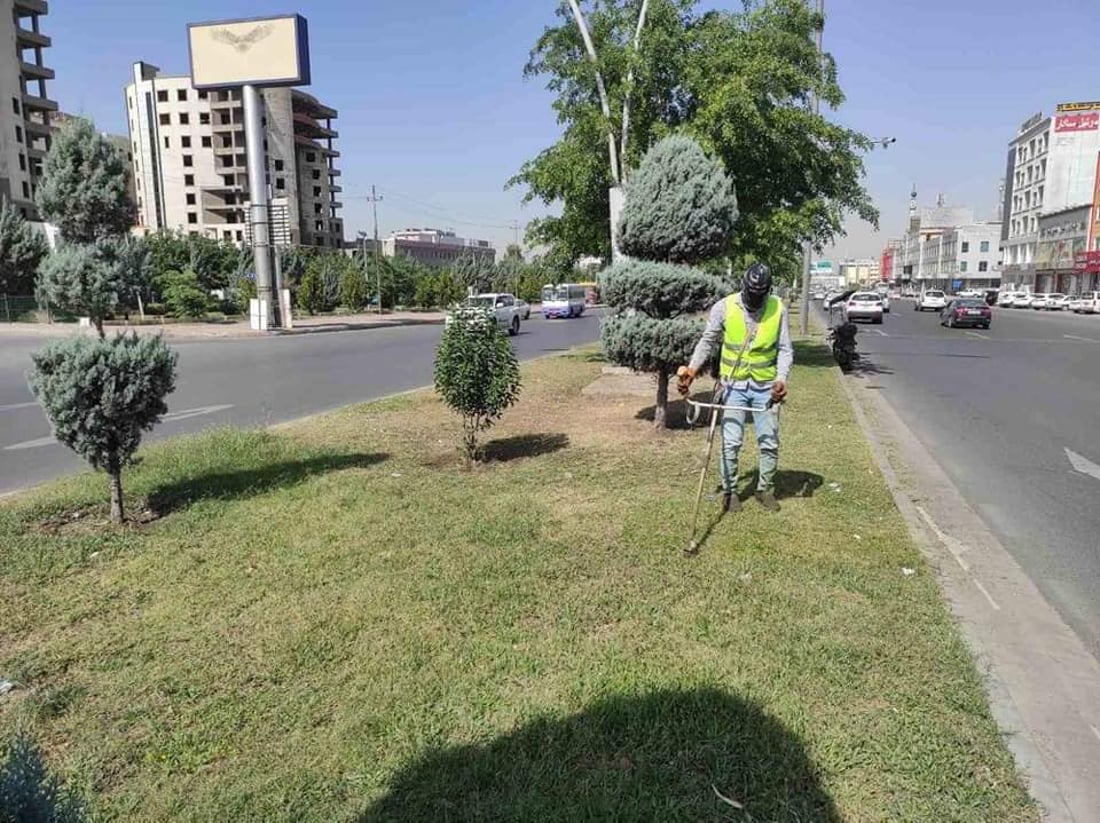صور: أربيل تضع اللمسات الأخيرة على حملتها الكبرى لتقليم أشجار المدينة
