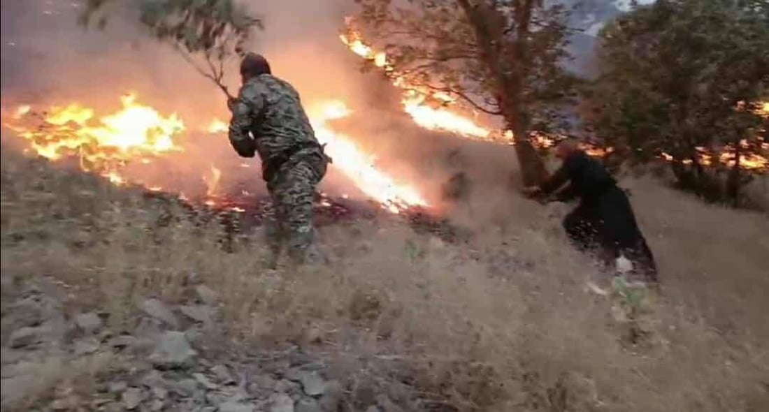 نزیکەی 600 دۆنم زەوی و دارستان لە گاپێڵۆن سووتا