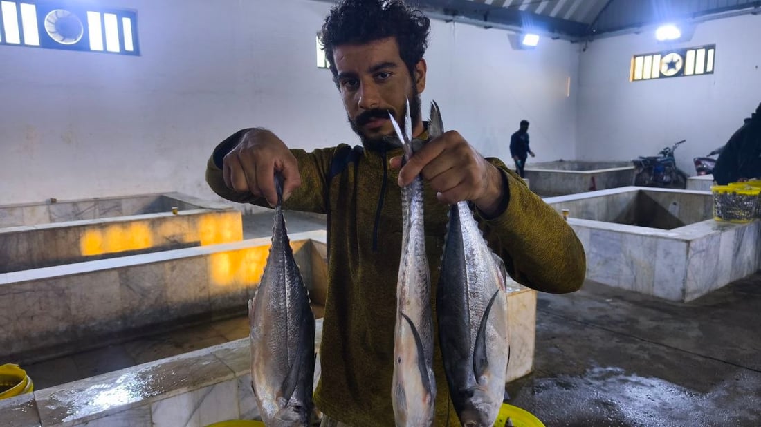 البحر يجود على البصرة.. أسعار الأسماك تهبط و”أكل الفقير” صار بألف دينار