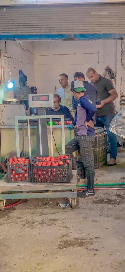 قائمة بأسعار الفواكه والخضروات في بعويزة.. البيع يتراجع بغياب المستورد (صور)