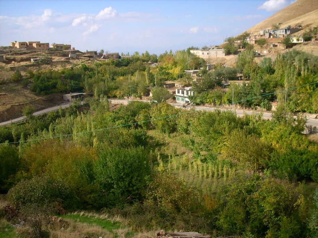 ناحیەی بیارە: کەمئاوی دارەکانی رێگەی بیارە چارەسەر دەکەین