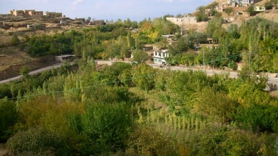 ناحیەی بیارە: کەمئاوی دارەکانی رێگەی بیارە چارەسەر دەکەین