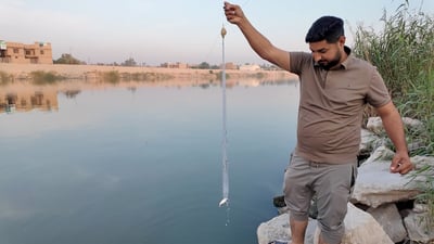 صياد الليل ينتهك اتفاقات الصيادين ويفتك بأسماك الكوفة!