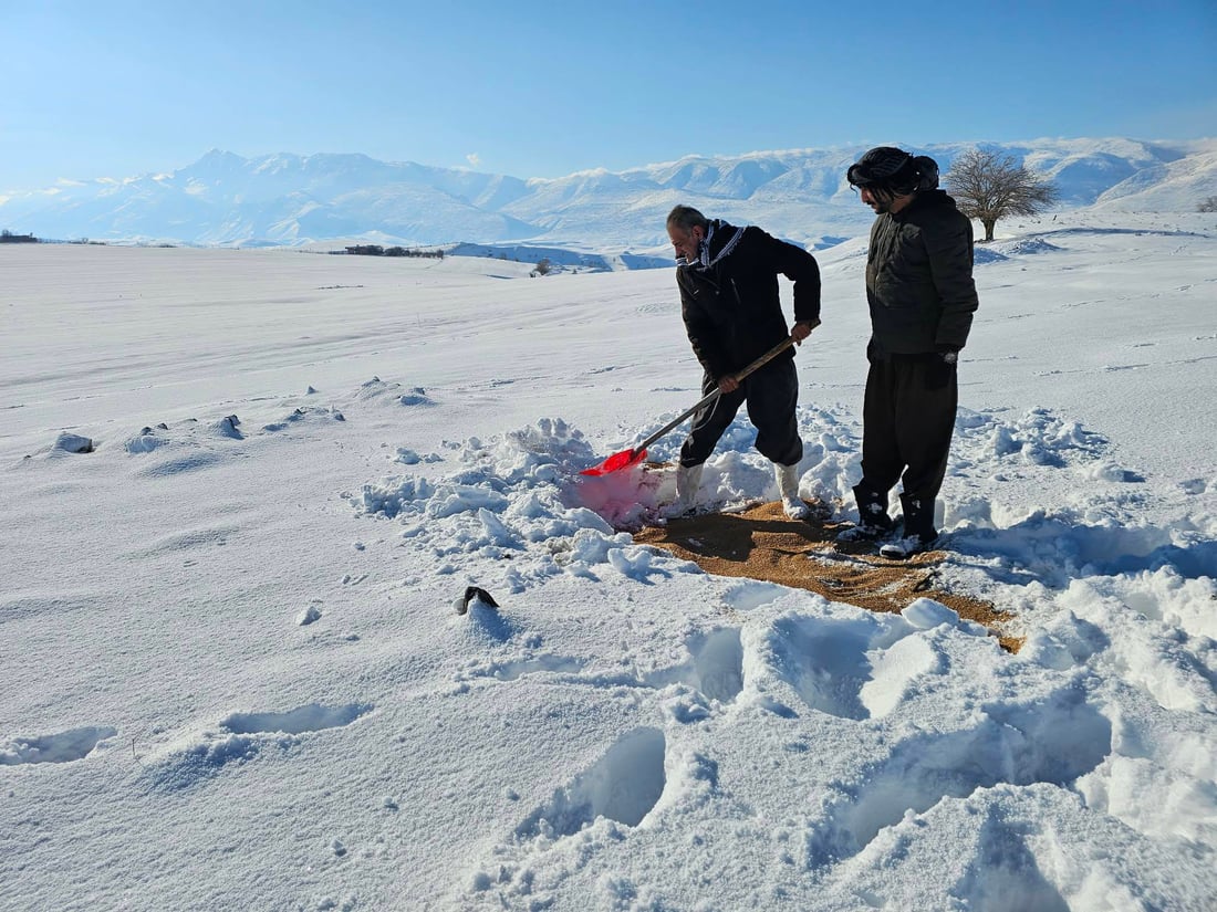 قەڵادزێ؛ سفرەیەکى پڕ لە خۆراک بۆ ئاژەڵ و باڵندەکان رادەخات