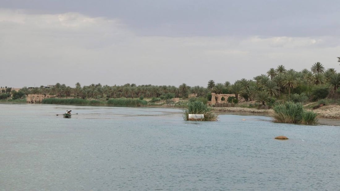 توضيح من بيئة الأنبار حول حالات نفوق غير طبيعية للأسماك في الفرات