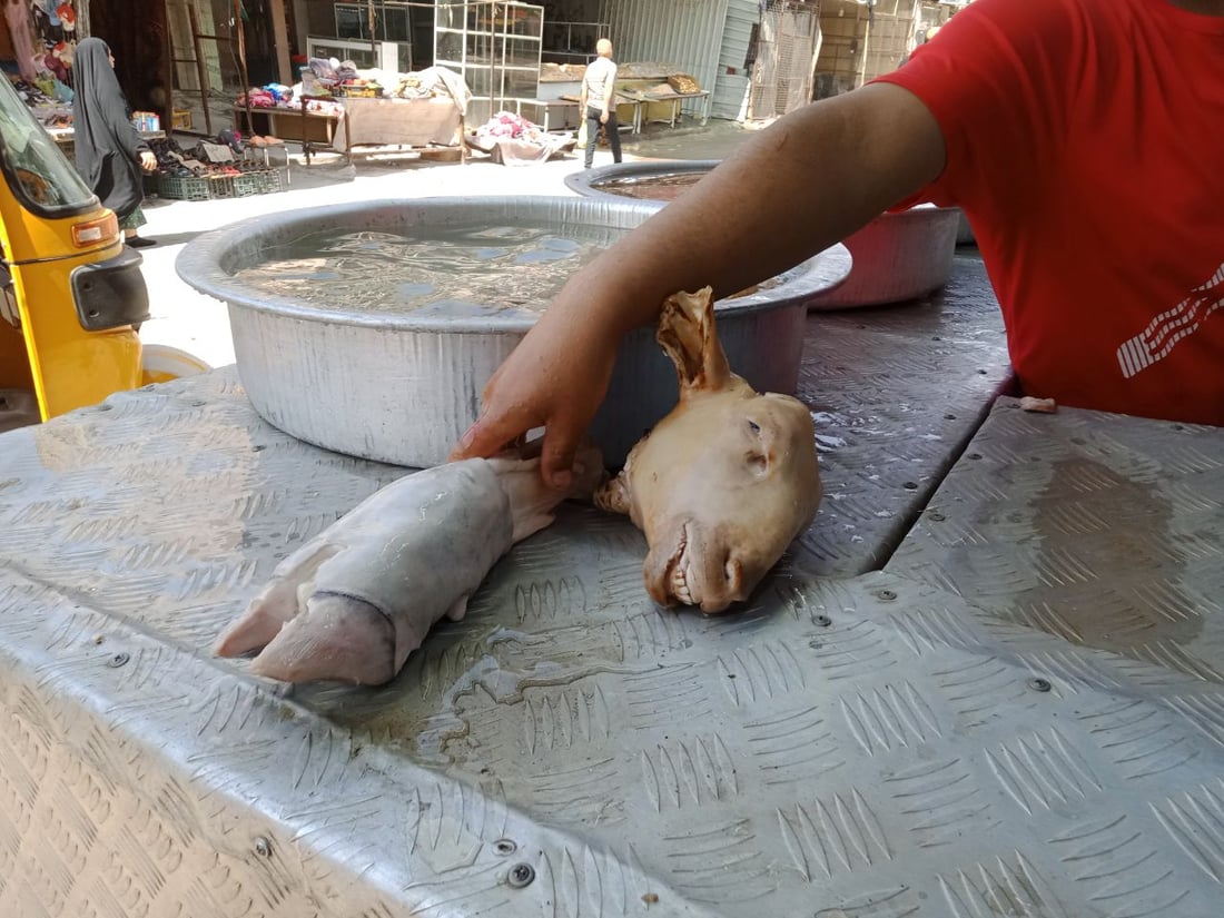 سوق بأربعة أسماء لكن الناس تعرف “الباچة”.. جولة مصورة بين أكشاك بغداد الجديدة