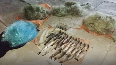 دەستبەسەر 47 ماسی و 21 تۆڕی راودا گیرا