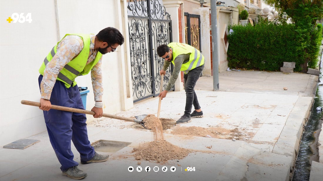 بە هەزاران دار بەسەر گەڕەکەکانی هەولێر دابەشدەکرێن