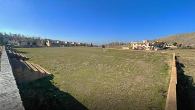 لە دەڤەری پشدەر پڵنگ دەرکەوت