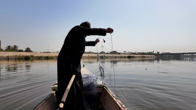 فرات الكوفة بلا أسماك! من 50 كغم للصياد إلى “لا شيء”