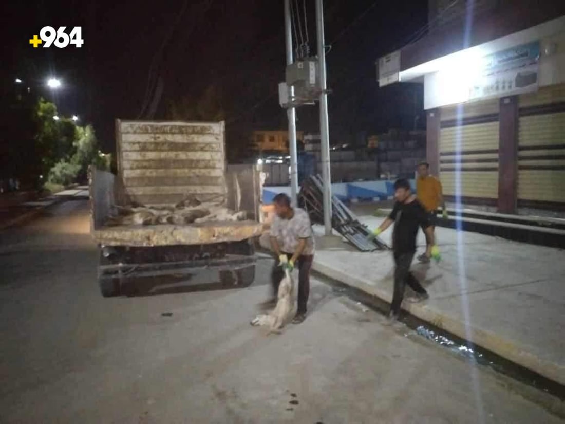 صور: العياضية تنتقم من الكلاب السائبة بعد ليالي مرعبة وحالتي وفاة