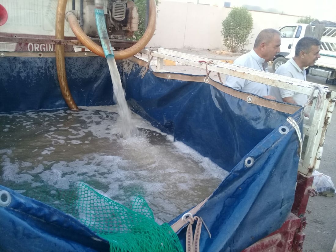 صور: عادت جلسات الشواء إلى ضفاف آلتون كوبري.. الخريف خفض أسعار السمك إلى 3 آلاف