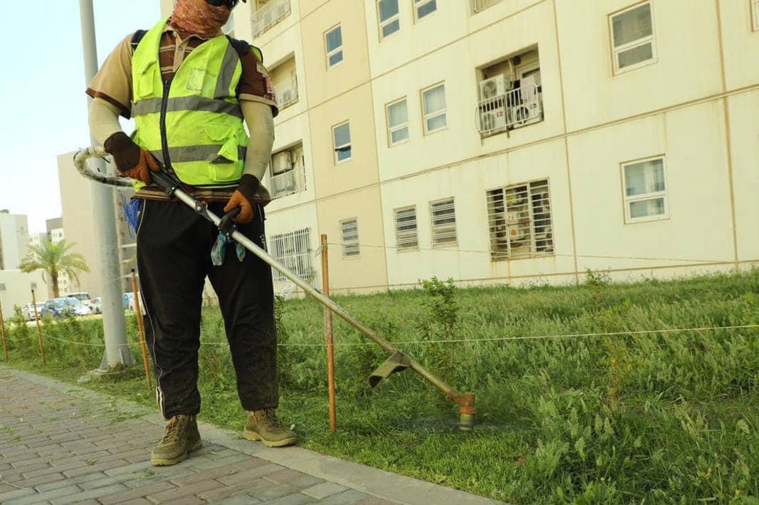 صور: سكان بسماية يزرعون النخيل والثيل قبل الصيف.. “الحياة أجمل الآن”