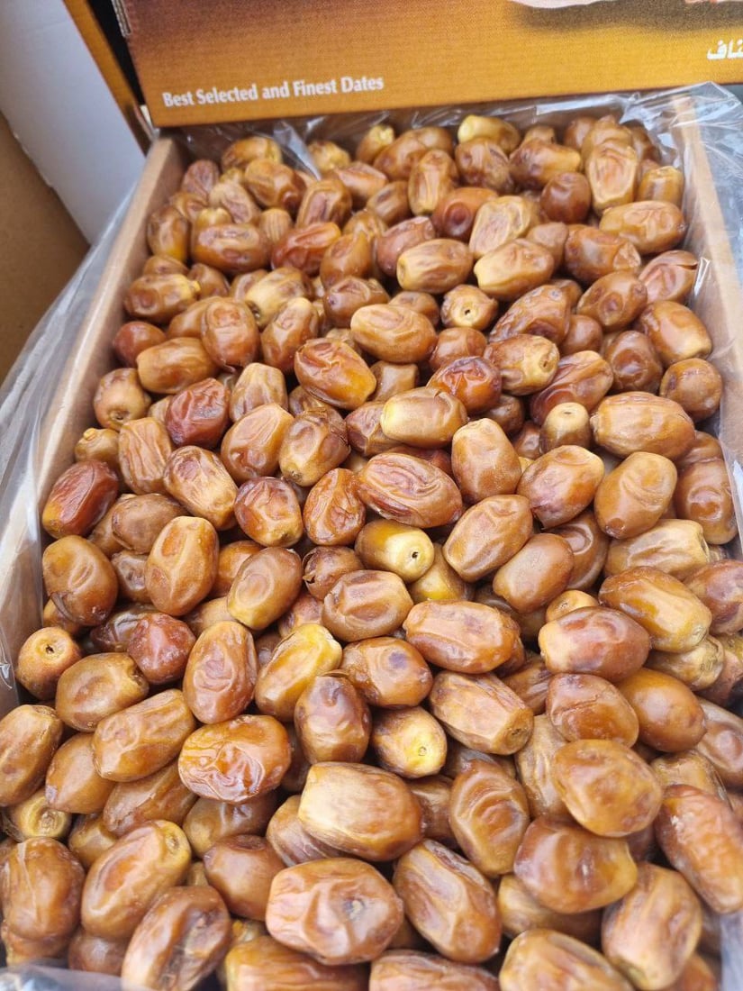 يدخل في صناعة خمر بعشيقة.. لماذا تصرّ كربلاء على زراعة الزهدي أرخص التمور؟