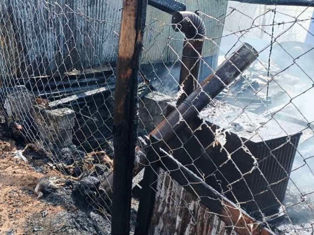 Fire at Zakho poultry farm kills over 100 birds