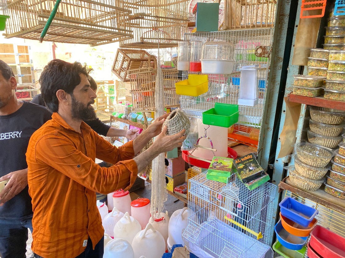 ملتقى “الجنّاية” منذ الخمسينيات.. جولة صورية داخل أقدم سوق للطيور في ميسان