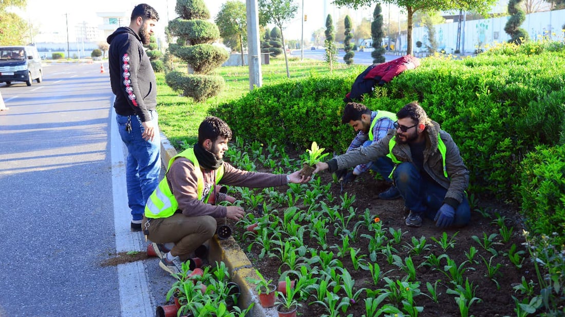 هه‌ولێر پڕ له‌ گوڵى (هه‌میشه‌ به‌هار) ده‌كرێت