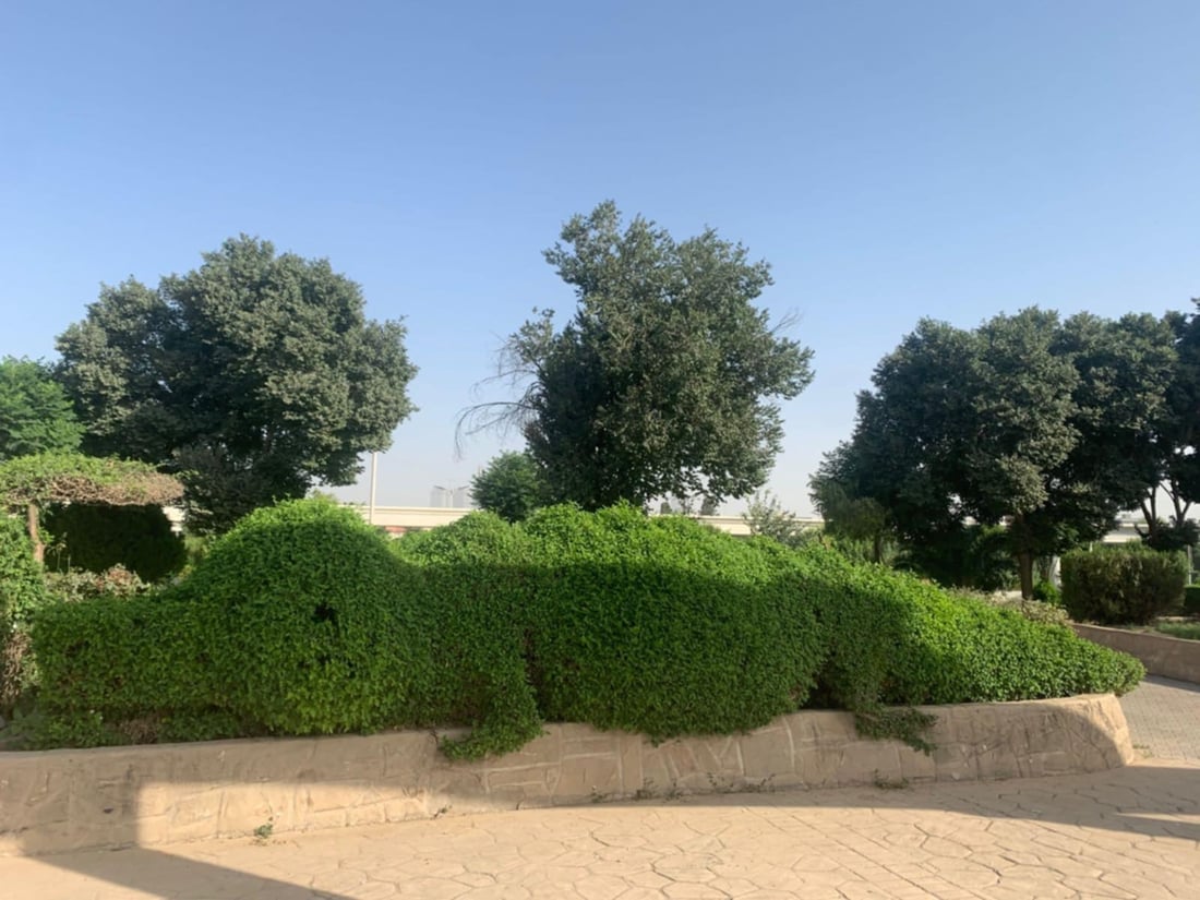 له‌ناو سه‌نته‌رى هه‌ولێر 142 شێوه‌ى جیاجیاى سه‌وزایی رێکدەخرێنەوه‌
