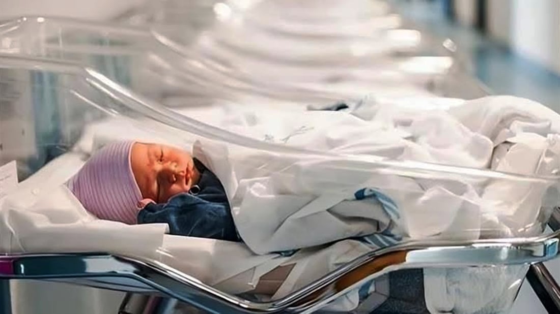 مانگی رابردوو لە سلێمانی رۆژانە 22 منداڵ لە نەخۆشخانەیەک لەدایک بوونە