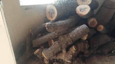 دەستبەسەر دەیان كۆتەرە داردا گیرا و دوو كەسیش دەستگیركراون