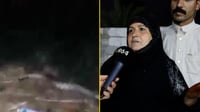 رغم تأكيد أم غزال وهروب النعاج.. أفعى صلاح الدين أقل من 8...
