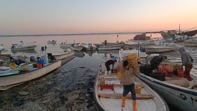 حال بحر العراق عند شواطئ البصرة ومواعيد المد والجزر غداً الخميس