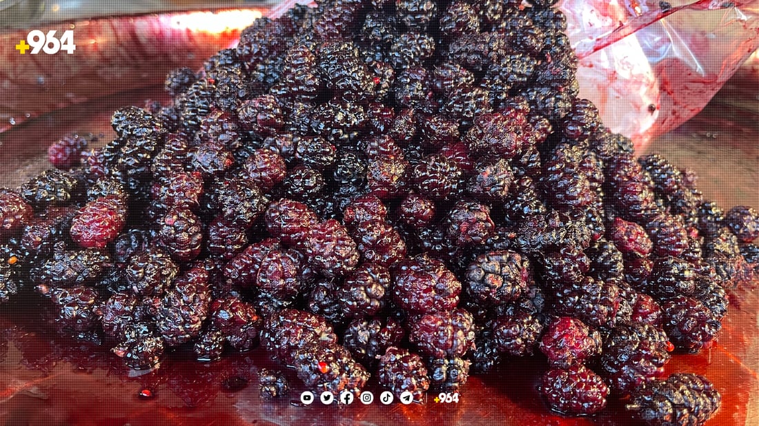 دوو هەفتەی دیكە شاتوو لە بازاڕدا نامێنێت