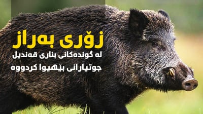 زۆرى به‌راز له‌ گونده‌كانى بنارى قه‌ندیل جوتیارانى بێهیوا كردووه‌