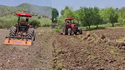 جوتیارانی پێنجوێن واز لە زەوییەکانیان ناهێنن و سەرقاڵی کشتوکاڵی خۆیانن