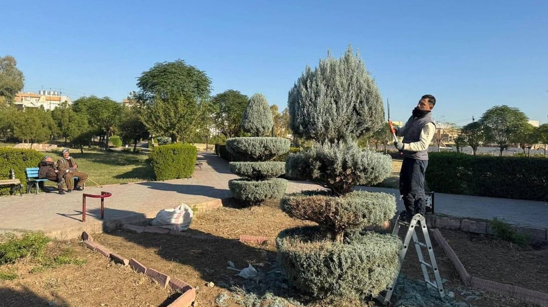 ئەندازەی پاڕکەکانی هەولێر گوڵ و دارەکانی شاریان هەڵپاچی