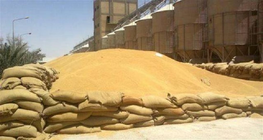 تجهيز مطاحن الناصرية بـ 8 الاف طن من الحنطة