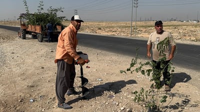 خانەقین بە مەکینە و عارەبانەوە دەستی بە چاندنی نەمام کرد