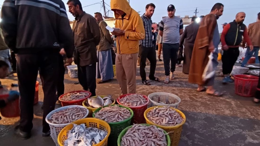 مزاد النقعة: زبائن من كل مكان يرفعون مضاربات الصبور.. “الكوتره” بـ 60 ألف
